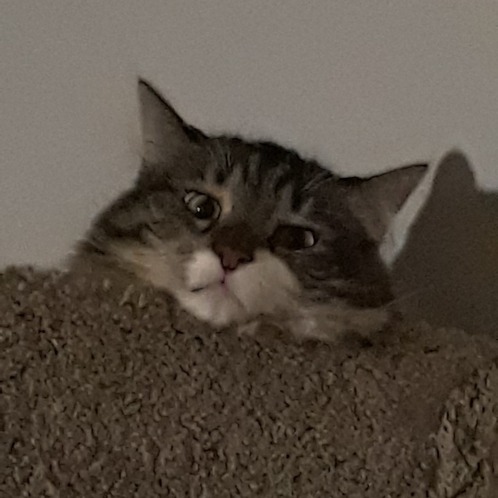 Meet your Posher, Raejeana